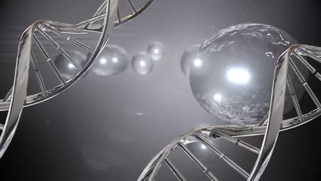 Mitose-Und-DNA