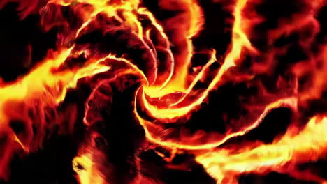 Abstract Fire Rose
