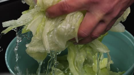 slow motion close up shot of woman hands washing a delicious salad before cooking under running water in kitchen sink