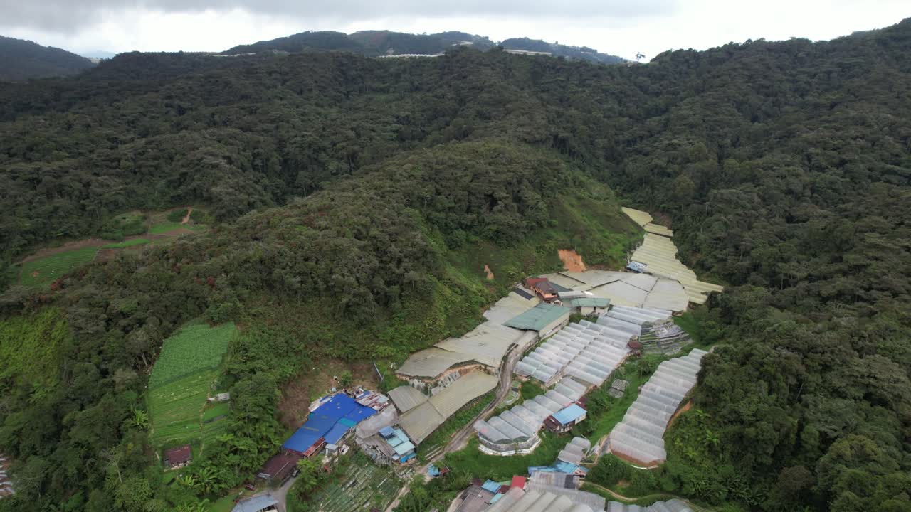 vista general del paisaje del distrito de brinchang dentro del área de cameron highlands de malasia