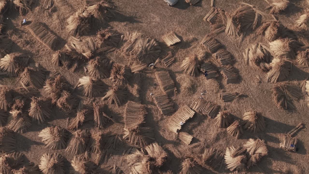 Top view drone shot of numerous haystacks arranged across a dry agricultural field during harvest season. Small human figures and a parked vehicle add scale to the rural countryside scene