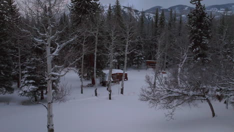 Aspen-Snowmass-Pitkin-county-cabin-wilderness-aerial-drone-Rocky-Mountains-Colorado-Basalt-Carbondale-Mt-Sopris-Maroon-Bells-Ashcroft-Independence-Pass-foggy-snowy-morning-cloudy-upward-past-trees