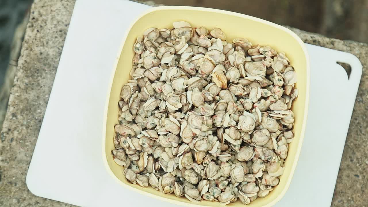 검은 조개 고기는 그 ⁇ 에 보관됩니다, 검은  ⁇ 은 고기 안에 ,  ⁇ 질과 깨 ⁇ 한 고기 , 단지  ⁇ 질이없는 고기 , 회전  ⁇