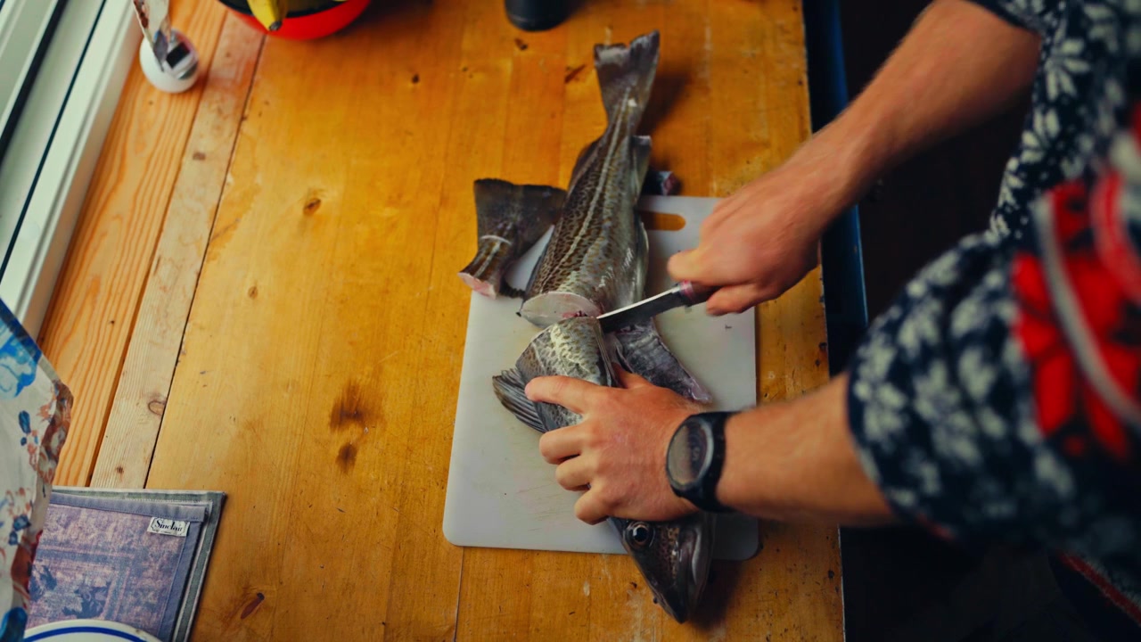 Cropped View Of A Man Cutting Freshly Caught Large Rainbow Trout. High Angle Shot