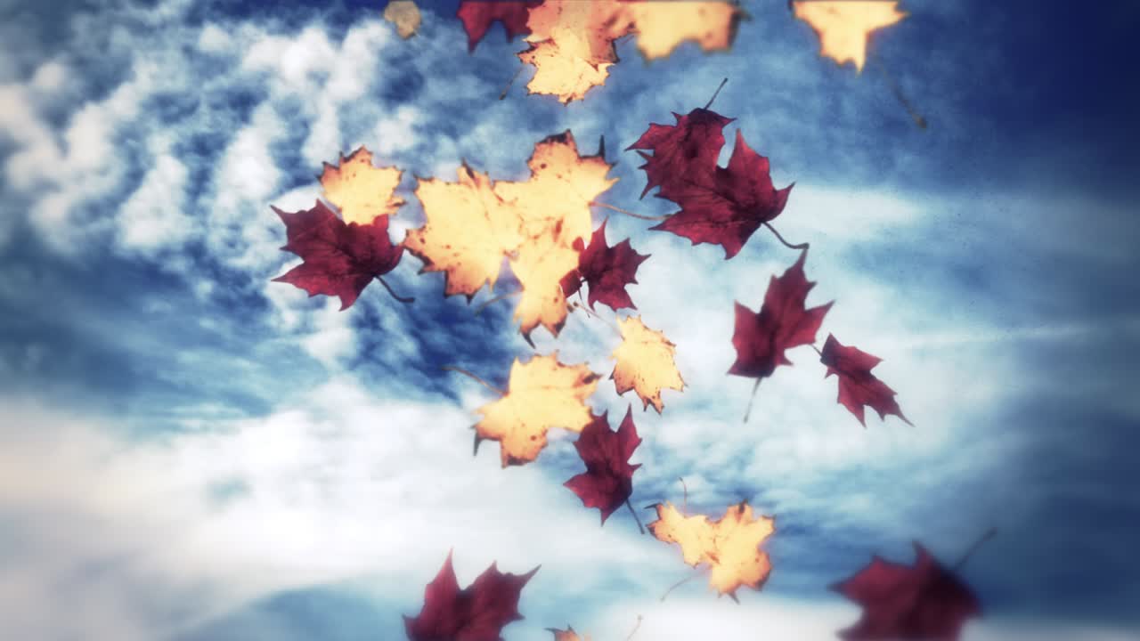 떨어지는 잎의 애니메이션 루프 가을