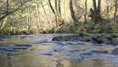 Beautiful-Lancashire-river-and-countryside-scenes