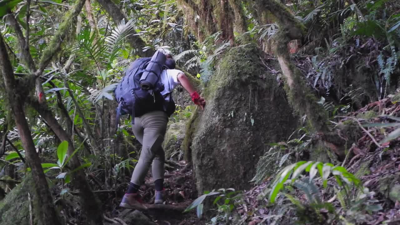 Woman with heavy back pack hikes up steep jungle trail in Honduras