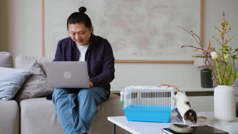 man working with pets