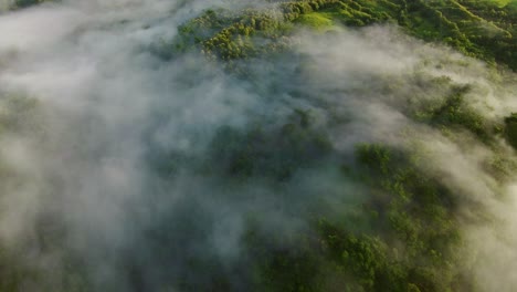 Toma-De-órbita-Superior-De-Los-Bosques-Tropicales-De-Costa-Rica_drone-View