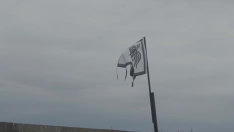 flagge im wind gegen bewölkten himmel, renaissance fair, philadelphia renaissance fair, fort mifflin, pennsylvania