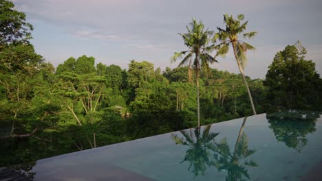 luxury tropical infinity pools in ubud, bali, with serene palm tree reflections—capturing a tranquil, peaceful vibe perfect for relaxation, resort living, and exotic nature escapes.