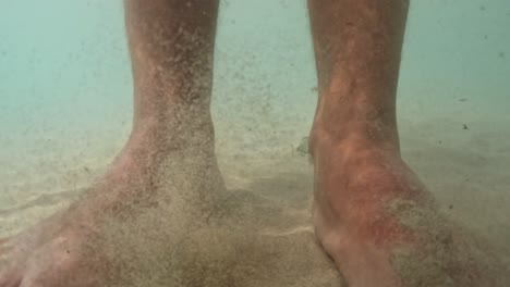 cámara lenta bajo el agua pov de pequeños peces hambrientos comiendo piel de piernas y pies humanos en agua de mar