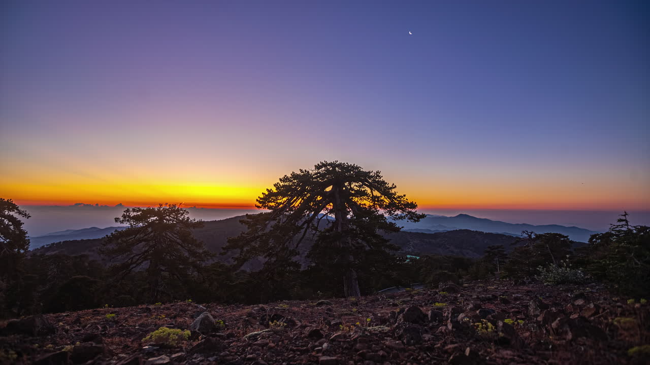 amanecer visto desde la cima del monte olimpo, chipre - silueta de árbol de cedro lapso de tiempo