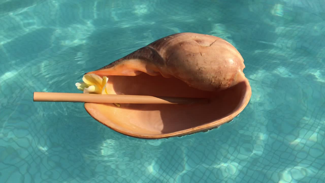 большой напиток из раковины черпака плавает на воде в бассейне в бали, индонезия