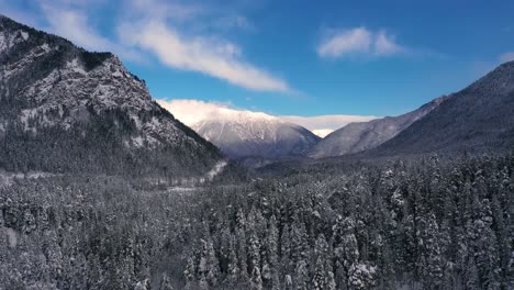 Schöner-Schneeszenenwald-Im-Winter.-Überfliegen-Von-Schneebedeckten-Kiefern.