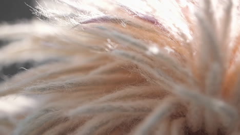 close-up of fluffy texture