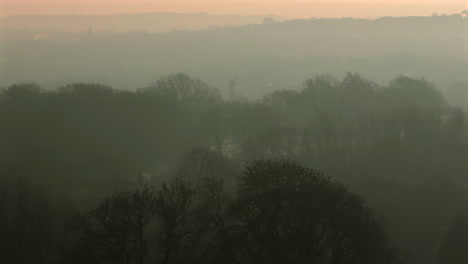aerial drone shot at hazy sunrise with long lens of trees on misty morning