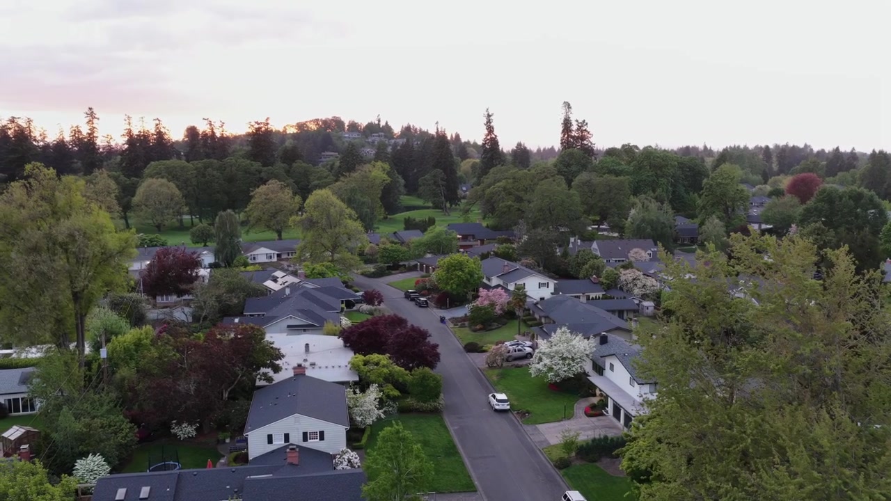 Quiet suburban neighborhood with single-family homes, gray rooftops, blooming spring trees, manicured lawns, driveways, and dense tree canopy under overcast sky. Oregon, USA. Aerial view.