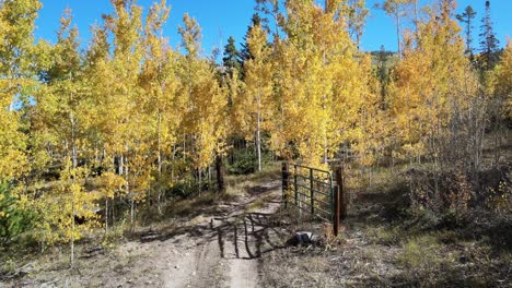 Fall-mountain-drone-shot-along-a-gravel-road