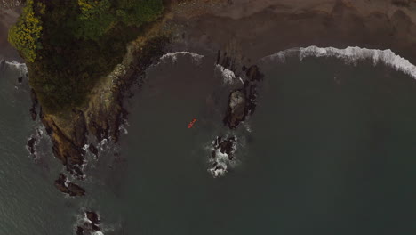 un pescador en su bote, algas recolectadas