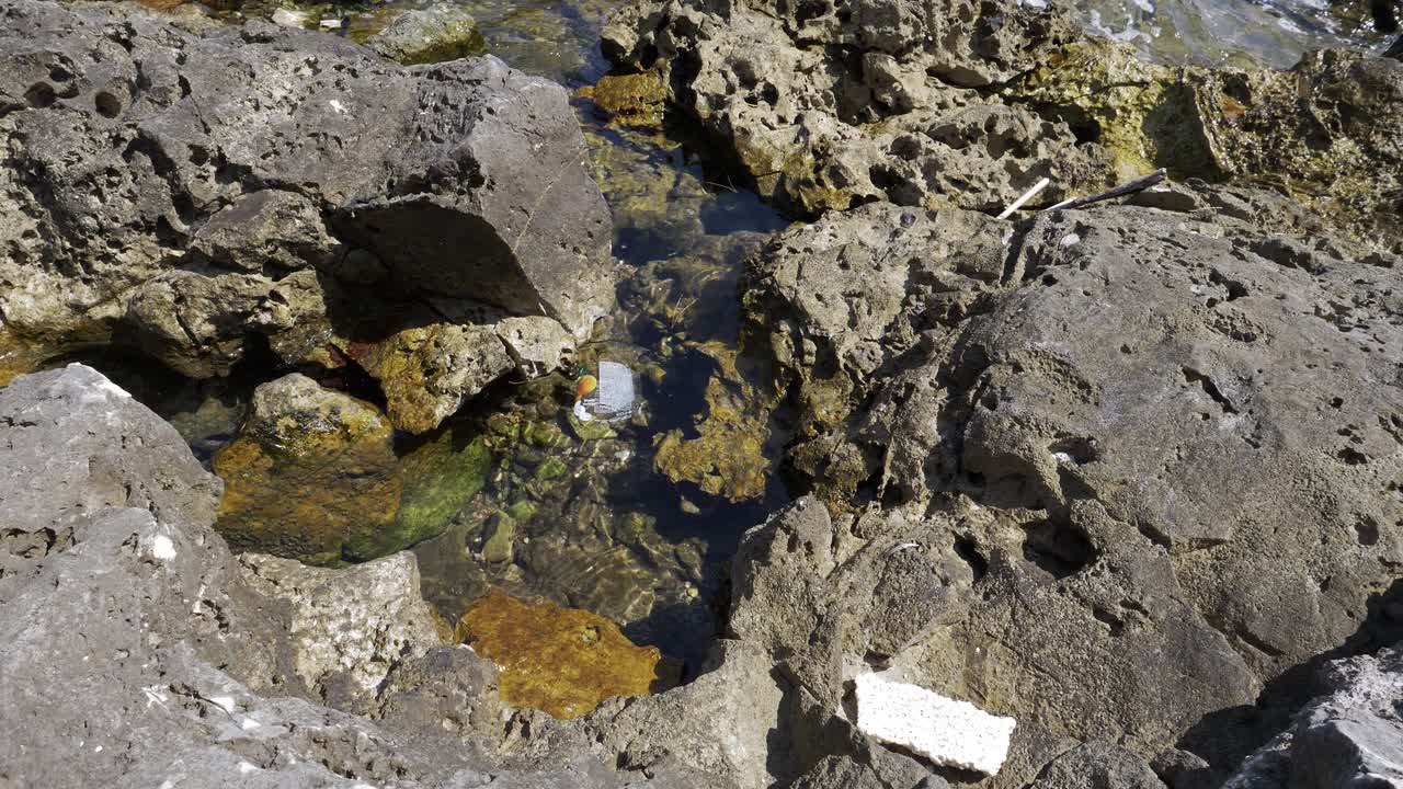 L'involucro di plastica della bottiglia galleggia nell'acqua di mare cristallina tra le rocce