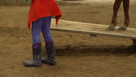 A-woman-and-a-horse-walking-on-the-wood-plane