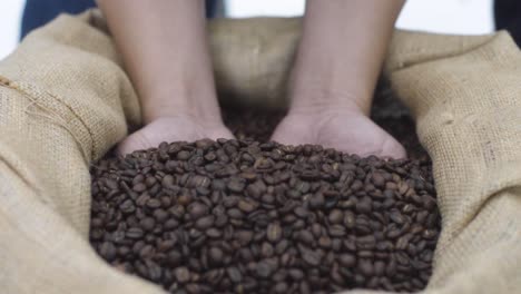 man scoops coffee beans from the sack with his hands