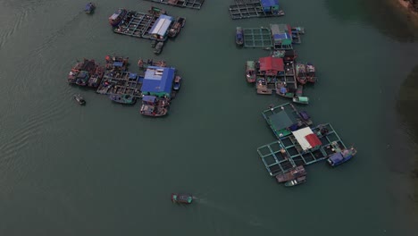 drone shot of colorful fish farms in floating village in cat ba and halong bay in northern vietnam