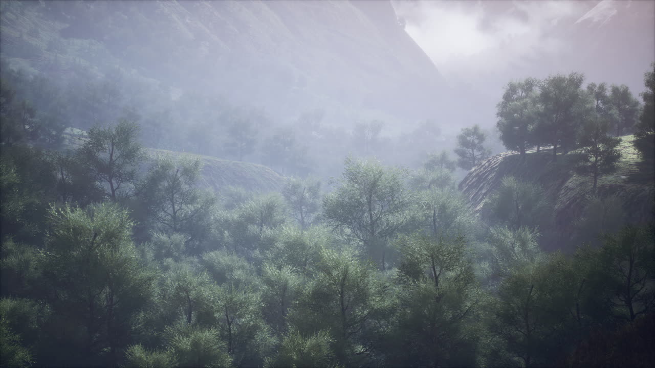 아침 시간 에 높은 산