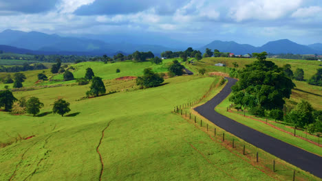 rural road surrounded with green landscape in atherton, tablelands region, qld, australia