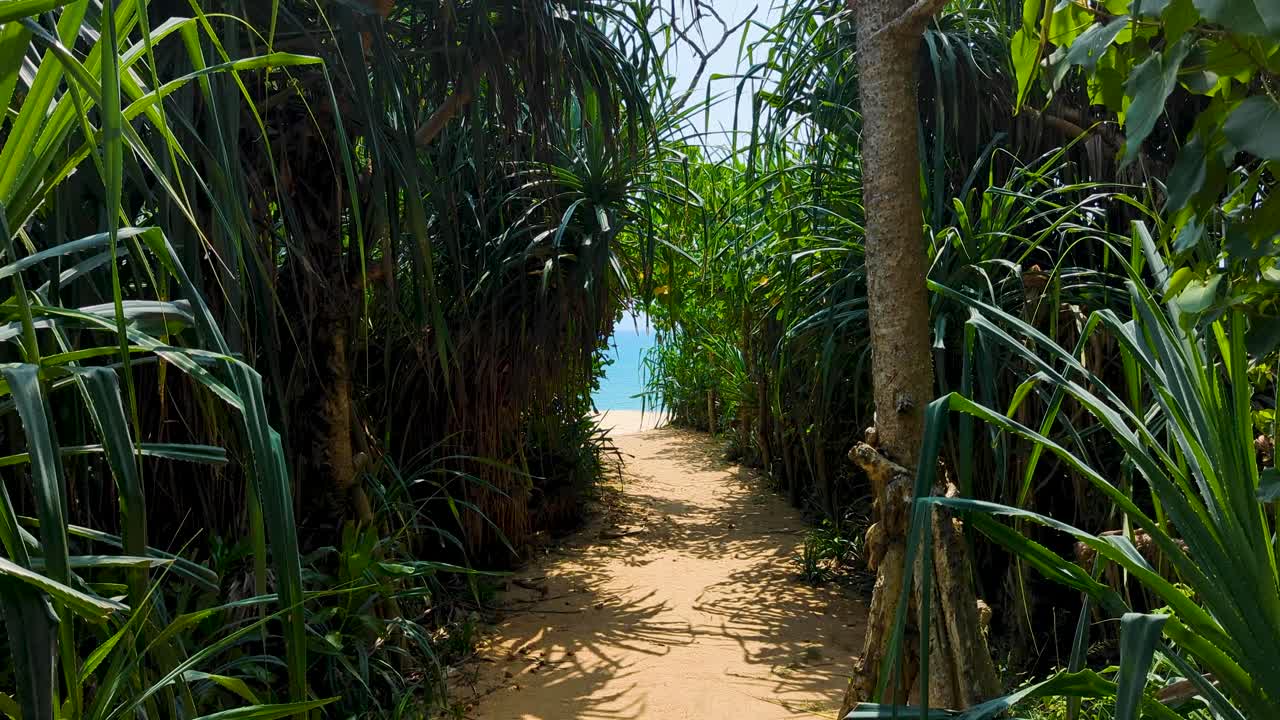 Glimpse of blue ocean water via idyllic narrow beach path through green coastal plants in Southern Province of Sri Lanka