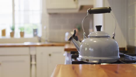 Close-up-of-countertop-with-kettle-on-oven-in-kitchen