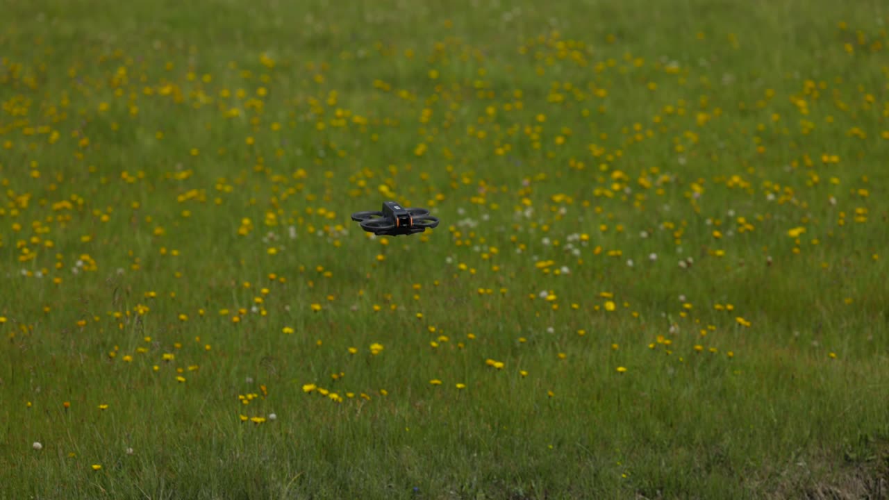 drone dji avata 2 volando bajo sobre el campo de hierba de prado de flores amarillas, disparo de seguimiento