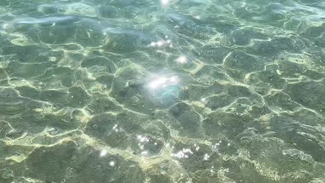 slow motion of golden glittering lake surface