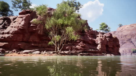 escena del río del cañón de la roca roja