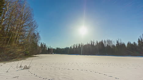 static shot of white frozen lake surrounded by coniferous trees with sun rising in the background over yellow sky during morning time in timelapse