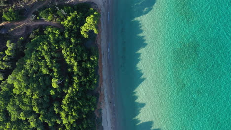 Crystal-clear-blue-water-Porquerolles-white-sand-beach-France-Hyères-pine-trees