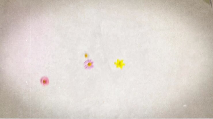 Last Words of Love - Beautiful Title Sequence