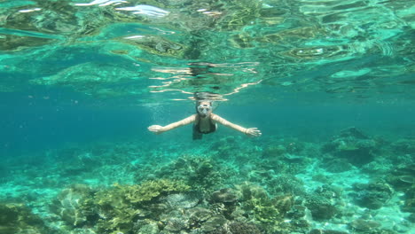 snorkeling in a tropical coral reef