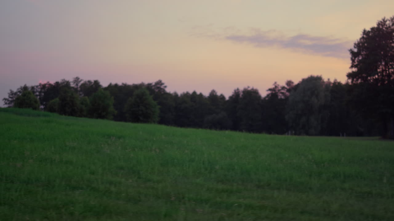Grønt gress på golfbane vokser i solnedgangslandskap. Idrettspark i rolig bakgrunn.