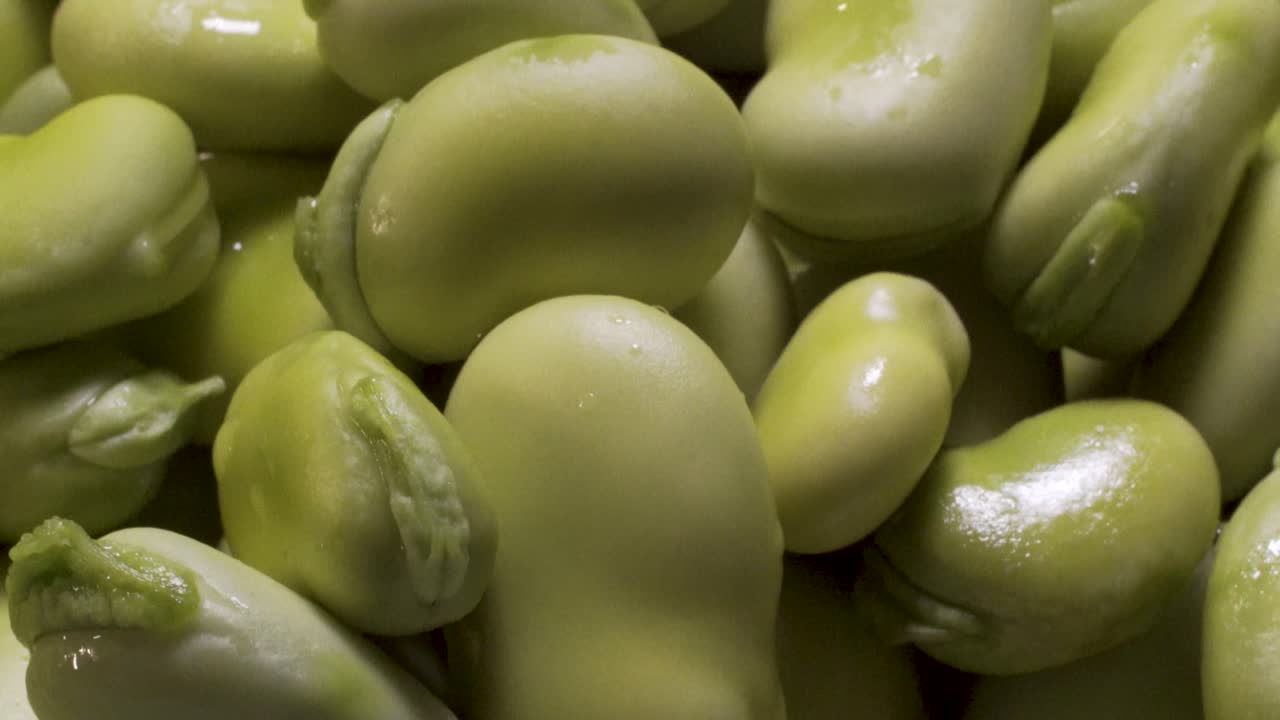Close-up of Fresh Broad Beans