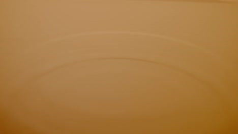 light brown/beige plain surface