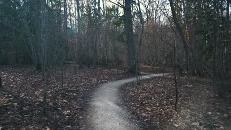 Sloka-Lake-Wooden-Boardwalk-in-Swamp-Tourist-Trail-in-the-Latvia