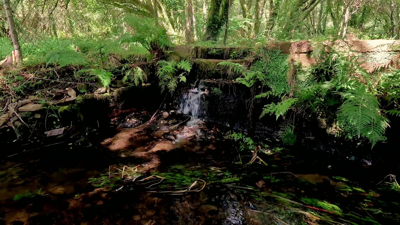 가 ⁇  동안 작물을 관개하는 데 사용되는 운하 벽 아래로 떨어지는 투명한 물의 제트, 나무 아래의 콘크리트 벽에서  ⁇ 과 모스가 자란다,  ⁇  막힌 오르데스, 갈리시아, 스페인