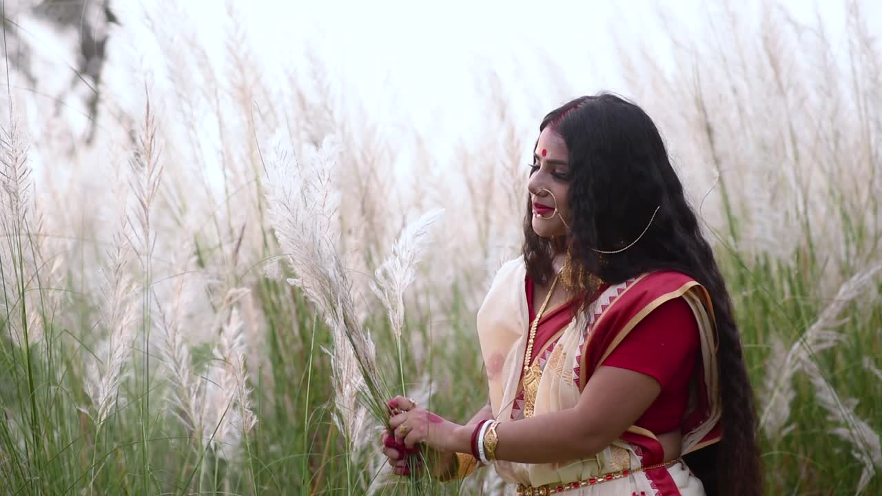 una feliz y hermosa mujer india bengalí casada con sari juega con la larga hierba blanca kaash phool en un campo al atardecer o al amanecer, cámara lenta, saccharum spontaneum