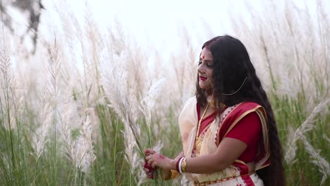 A-happy-and-beautiful-married-Indian-bengali-woman-wearing-saree-plays-with-the-long-white-grass-kaash-phool-in-a-field-at-sunset-or-sunrise,-Slow-motion,-Saccharum-Spontaneum