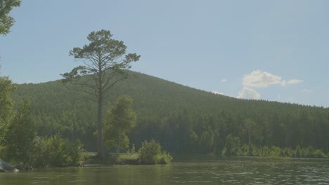 scenic lakeside view with mountains and forest