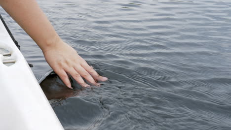 hand touching water in the forest river or lake