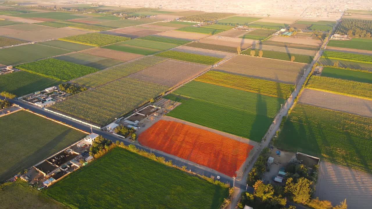 ペドレガル地域における農業と生活様式を一日を通して様々な時間帯で空撮