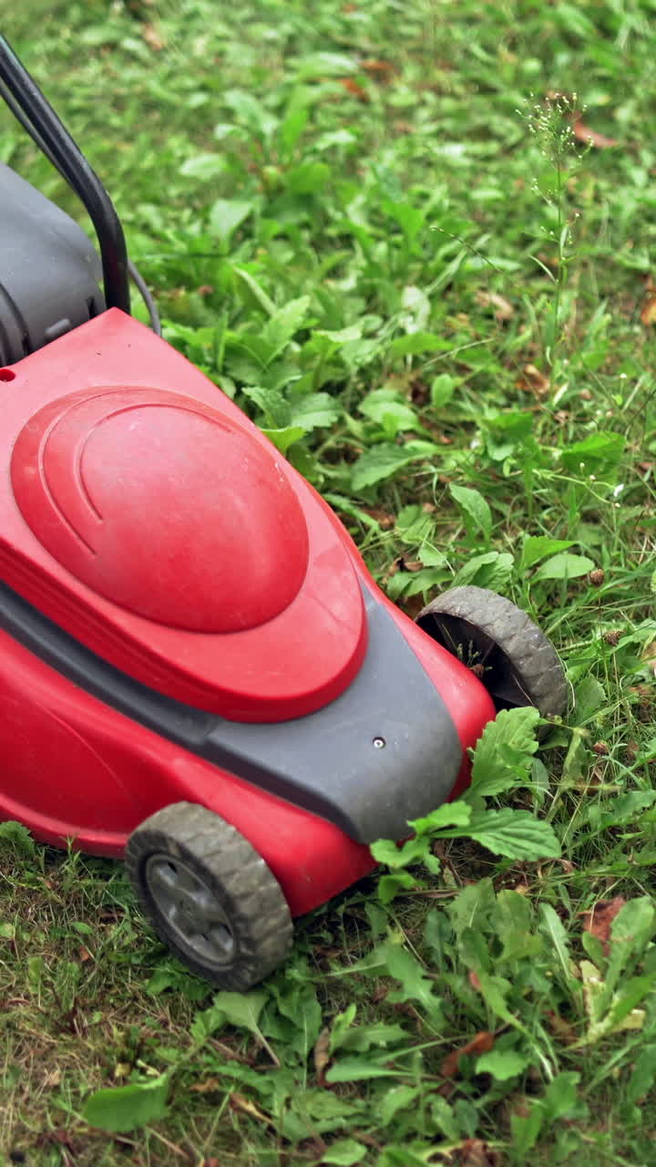 Working process of lawn mower outdoors. Boy cutting grass in his yard with corded electric lawn mower. Vertical video
